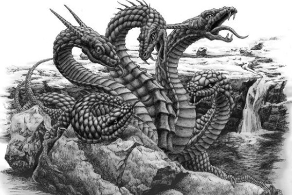 Kraken это современный маркетплейс