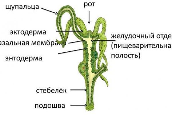 Кракен рабочая ссылка