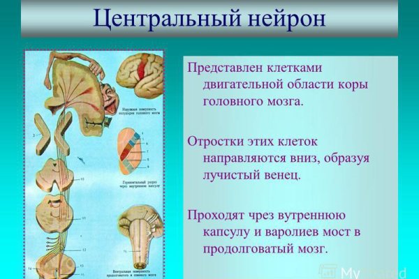 Kraken даркнет что это
