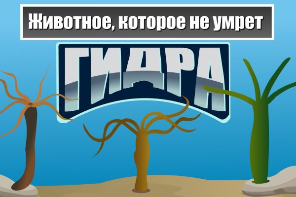 Магазин kraken даркнет