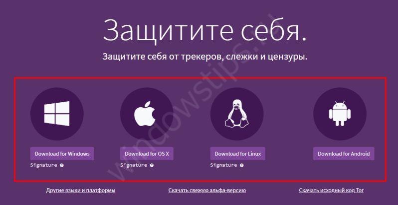 Что такое кракен маркет торкнет