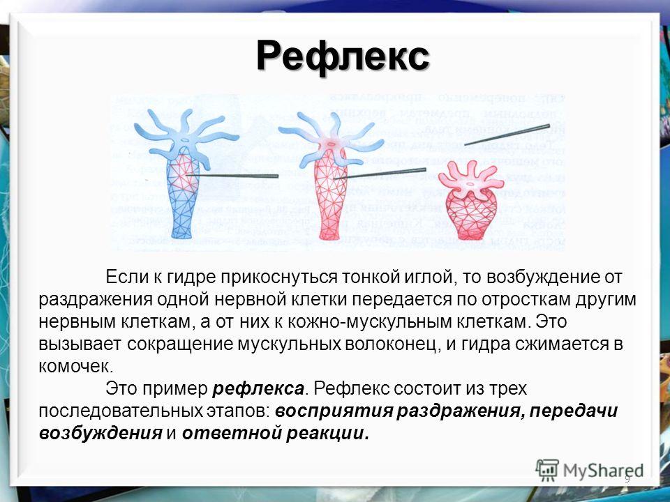 Кракен онион зеркало